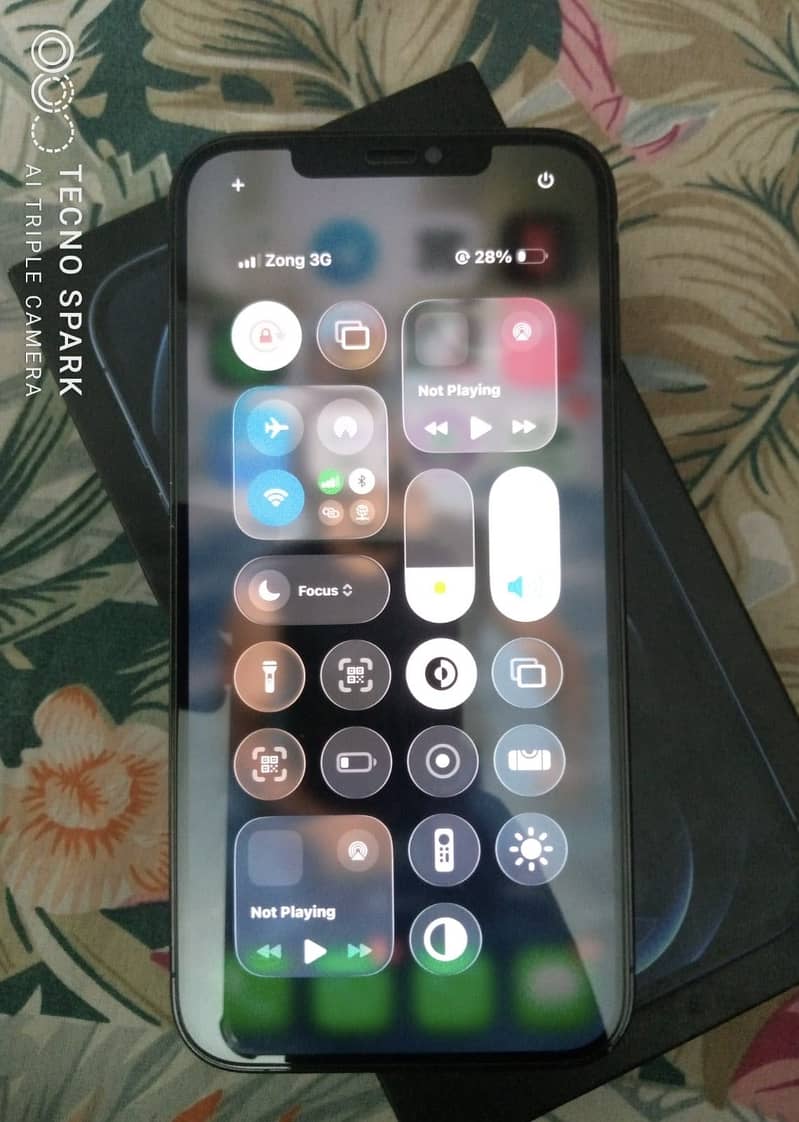 iPhone 12 Pro Max 1