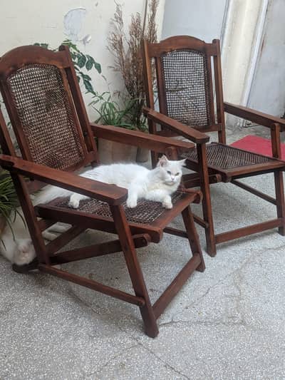vintage chairs