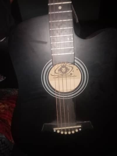 Beginner Guitar Acoustic