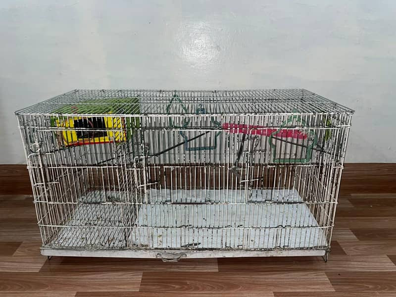Bird cage 0