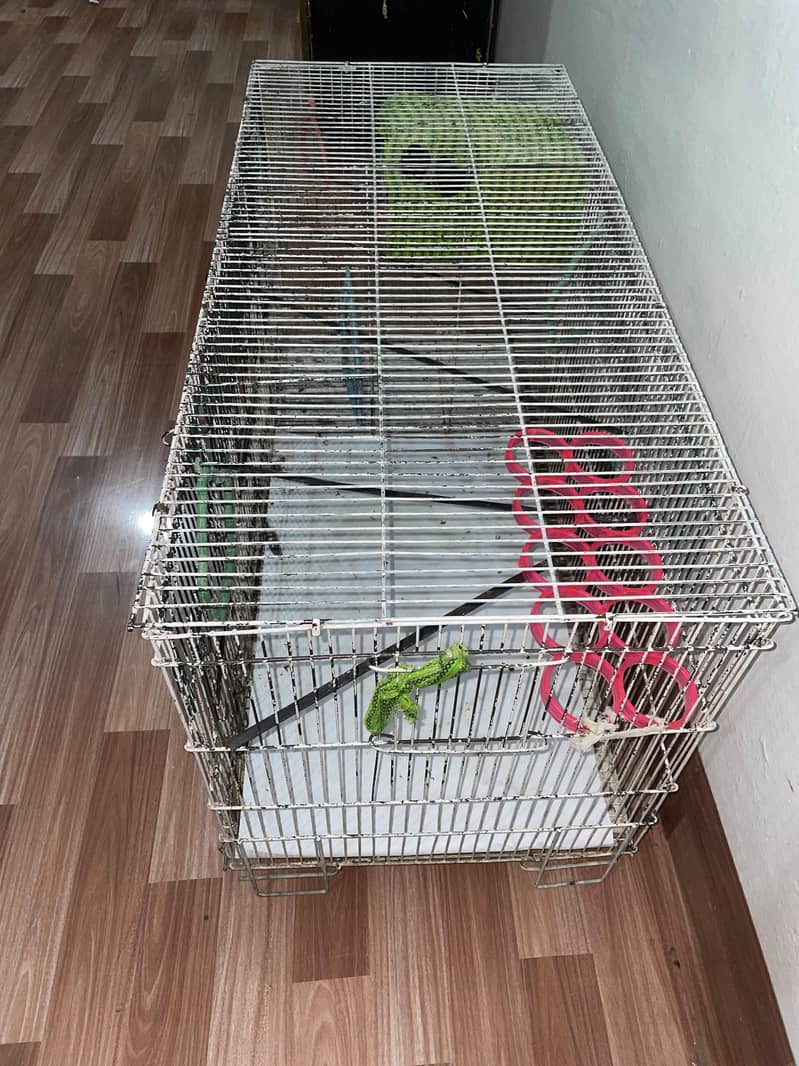 Bird cage 1