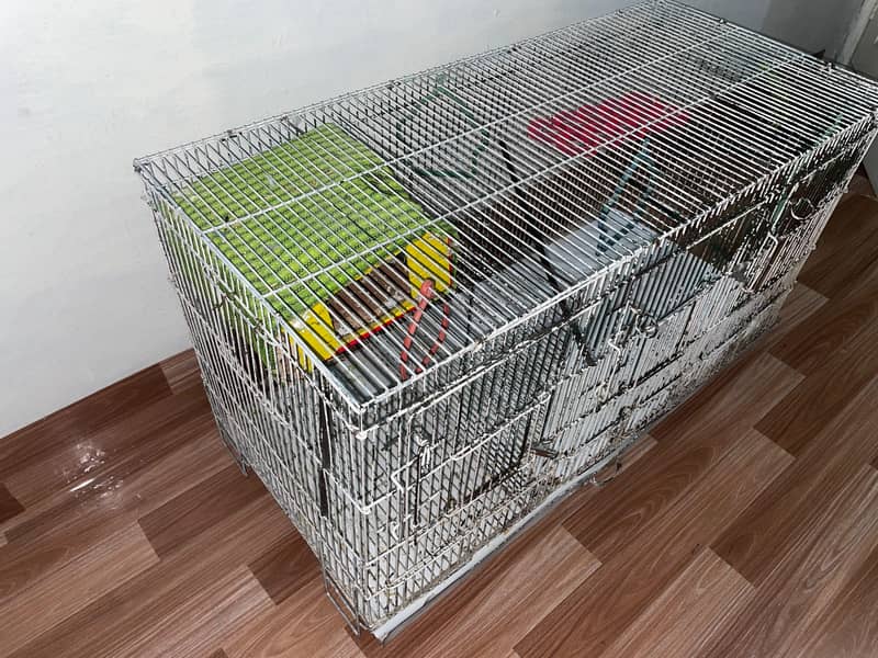 Bird cage 2