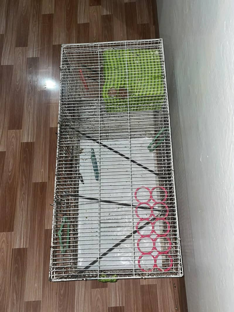 Bird cage 3