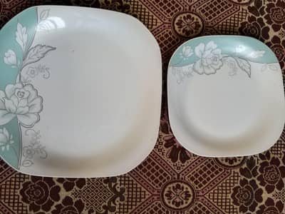 6 curry plates and rice plates