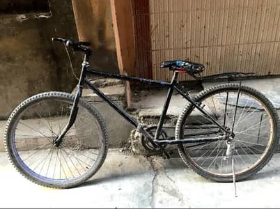 giant cycle