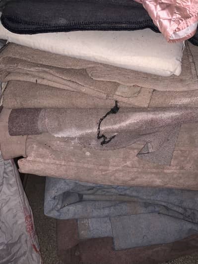 Carpet