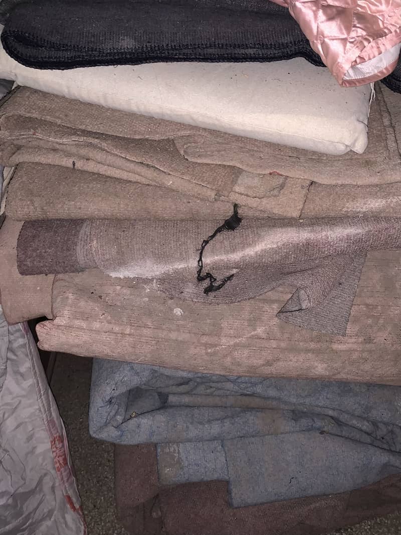 Carpet 0