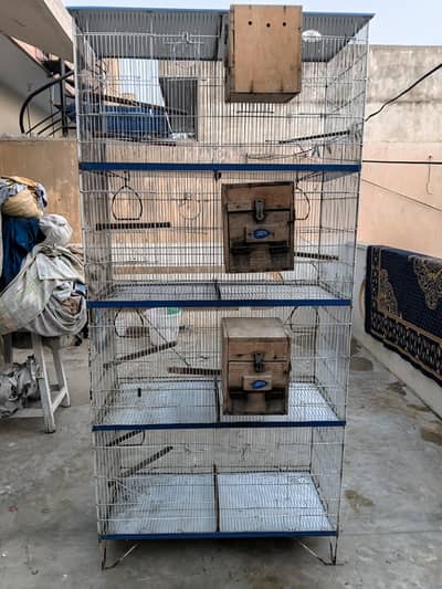 bird cage