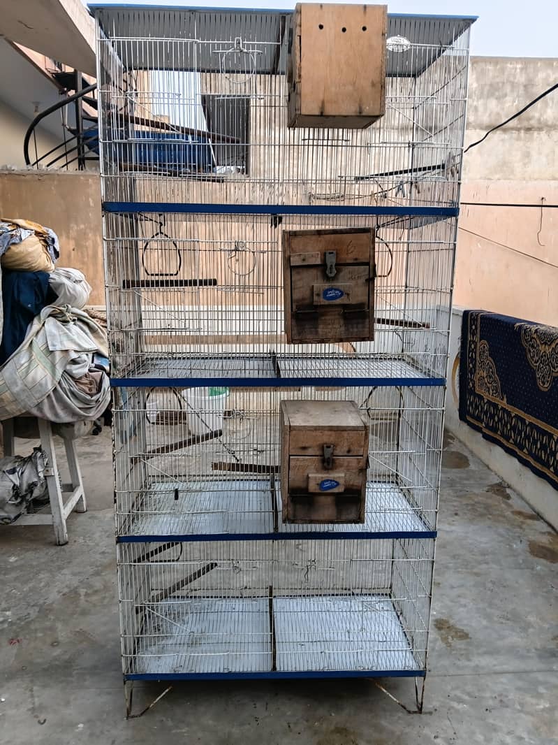 bird cage 1