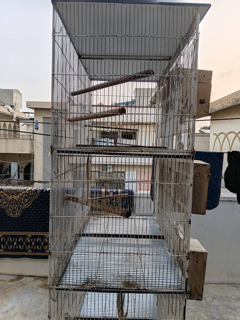 bird cage 2