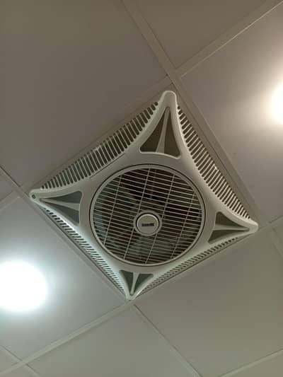 Ceiling Fan