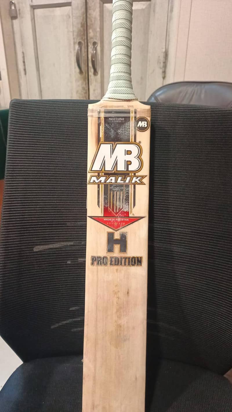cricket bat 1