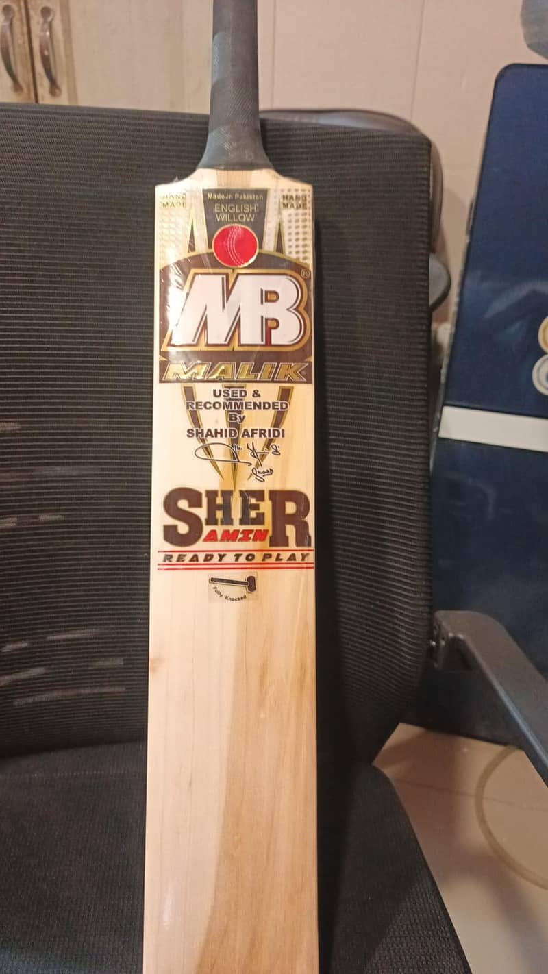 cricket bat 2