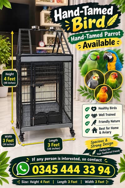 Hand tamed bird cage