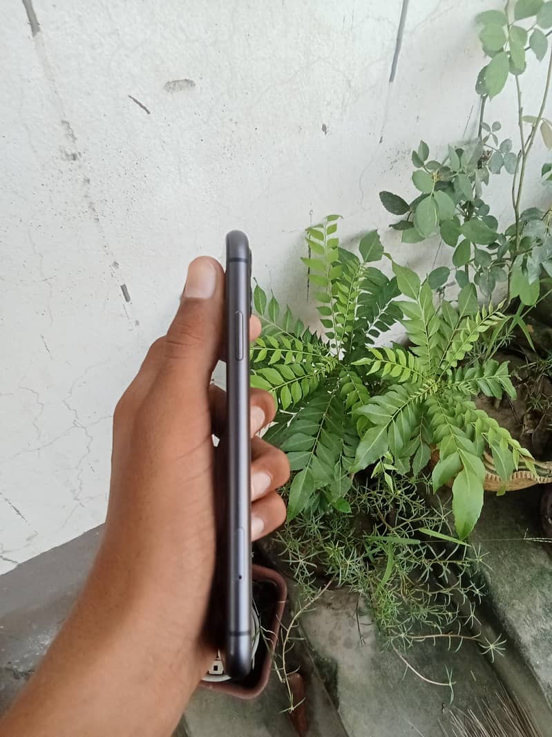 Apple iPhone 11 1
