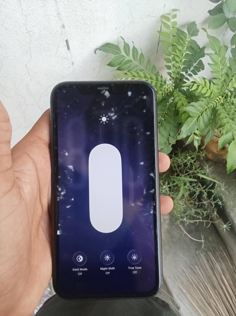 Apple iPhone 11 3
