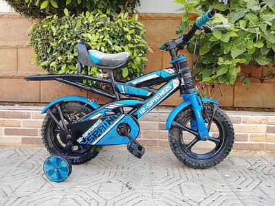 12 Spring Imported Cycle - 12 size - 0320/2257/271