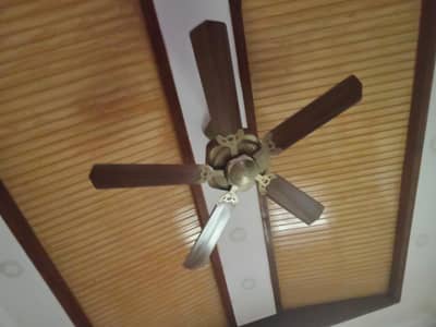 10/10 condition five wings fan