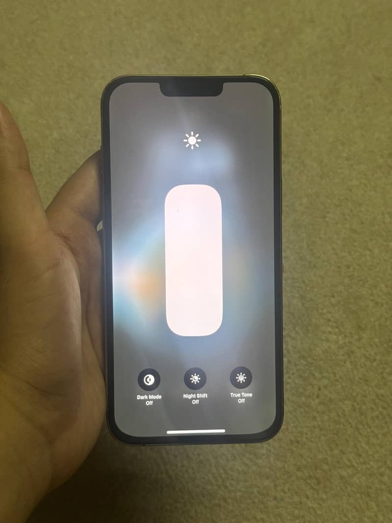 Apple iPhone 13 Pro Max 3