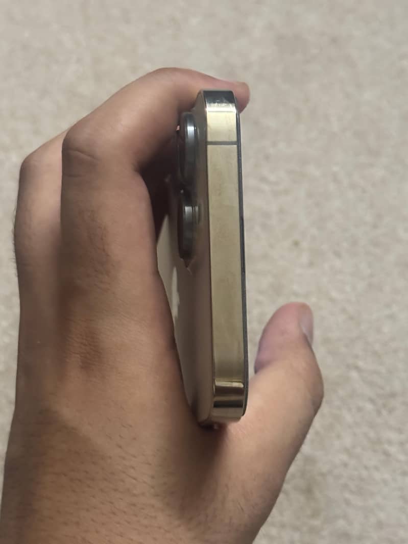 Apple iPhone 13 Pro Max 4