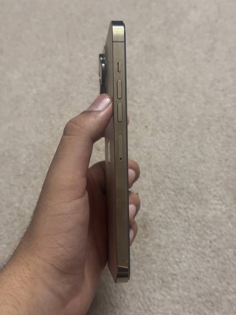Apple iPhone 13 Pro Max 7