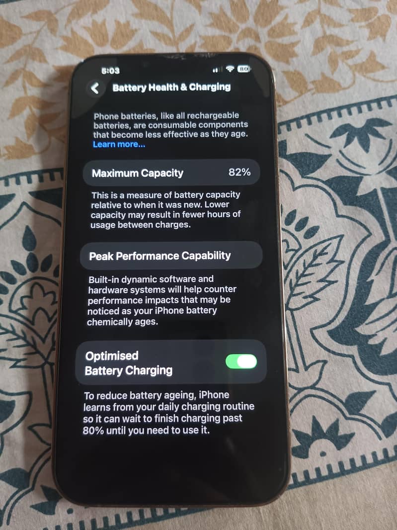 Apple iPhone 13 Pro Max 10