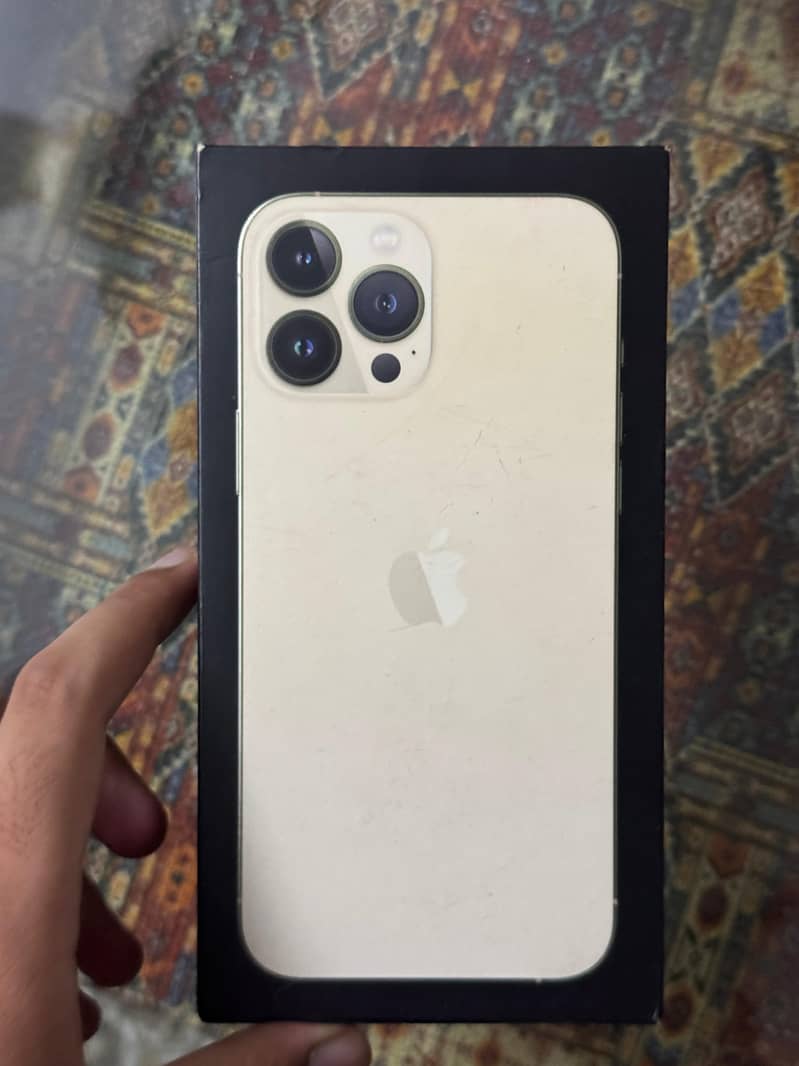 Apple iPhone 13 Pro Max 12