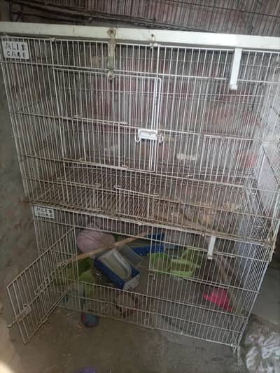 Love Bird cage