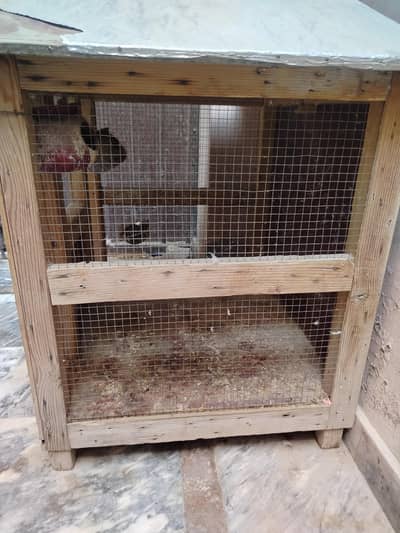 hen and parrot cages