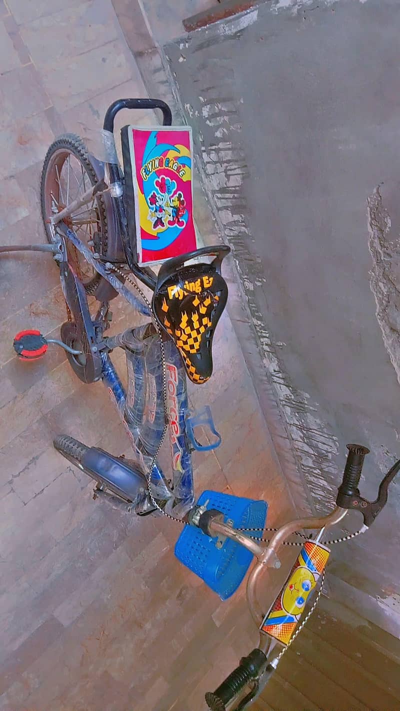 cycle 0