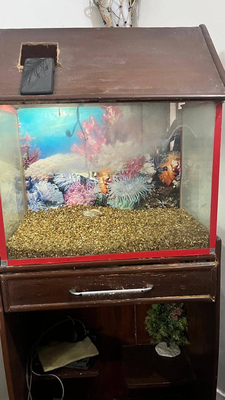 for sell 2