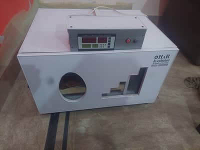 Automatic Incubator for Sale