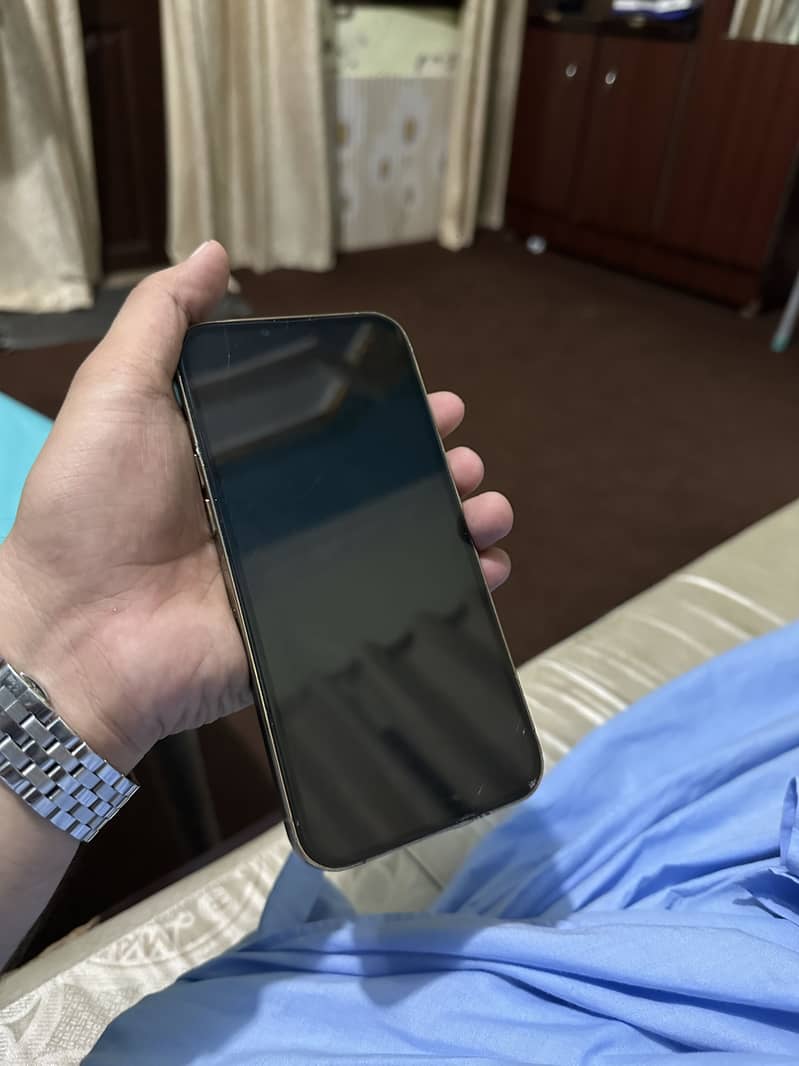 iPhone 13 Pro Max 3