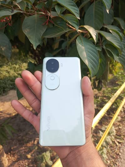 Vivo V40e box charger original 8/256