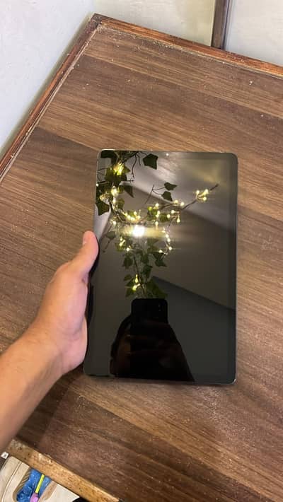 Samsung Galaxy Tab S6 Lite (SM-P610) – Pristine Condition