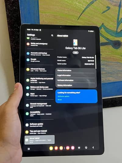 Samsung Galaxy Tab S6 Lite (SM-P610) – Pristine Condition