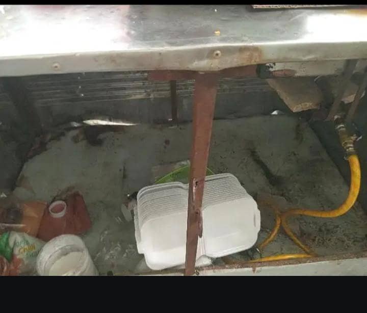Fries station 4