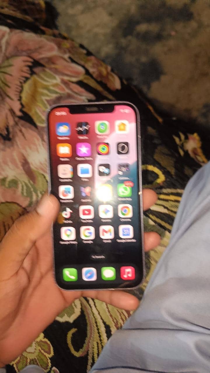 iPhone 12 1