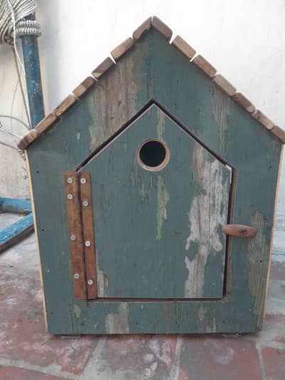 Cat Pet House