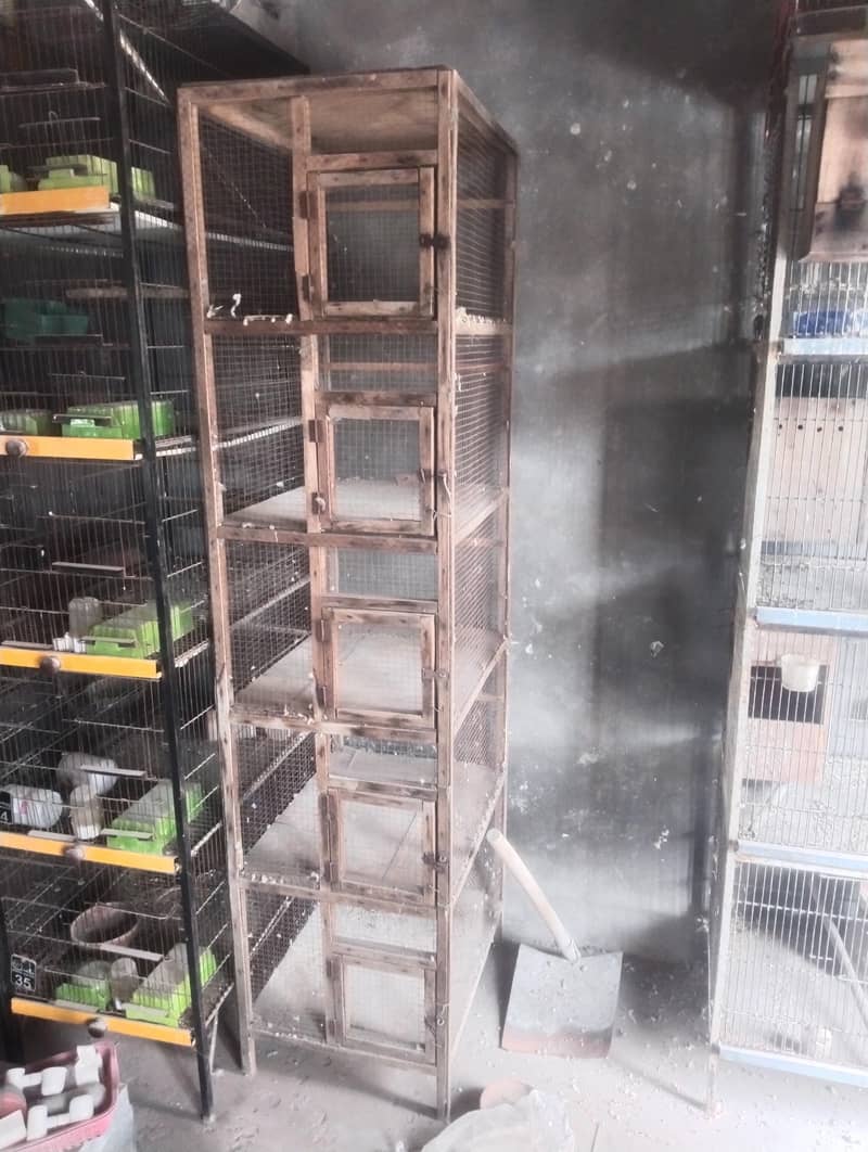 cages 1