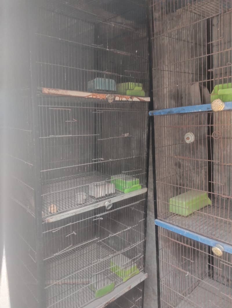 cages 3