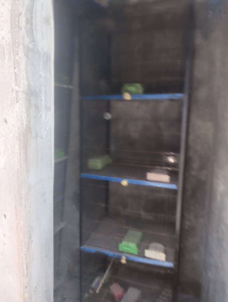 cages 4