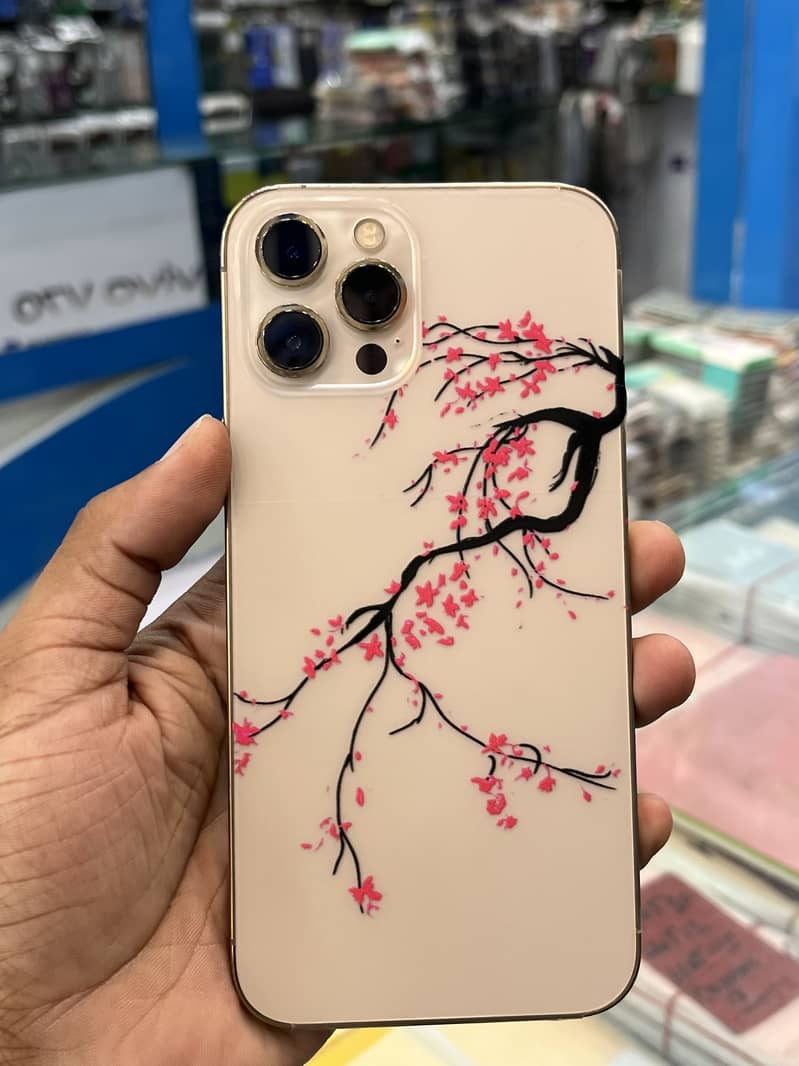 Apple iPhone 12 Pro Max 0
