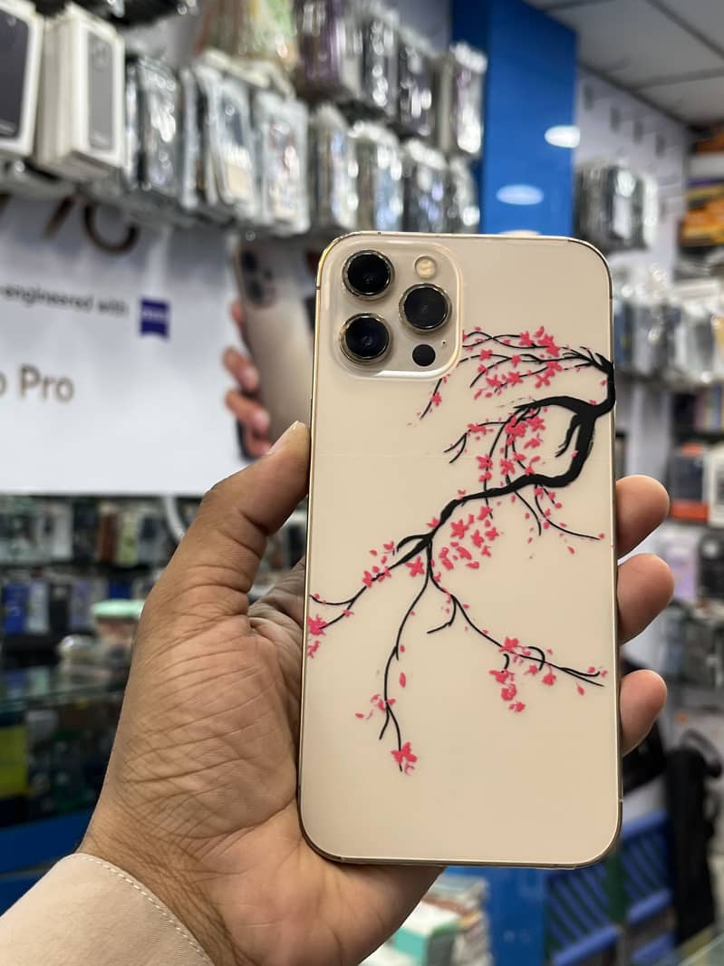 Apple iPhone 12 Pro Max 3