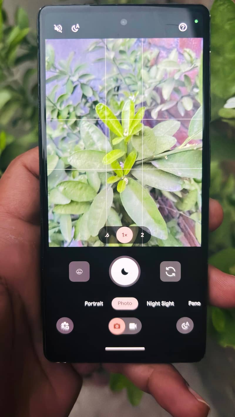 Google Pixel 6a 1
