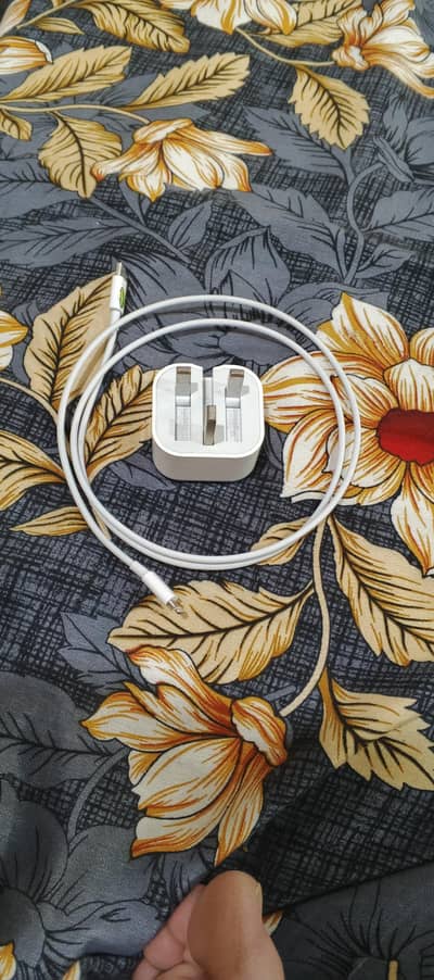 20 watt orignal iphone charger