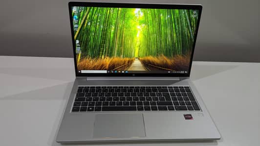 HP ProBook 455 -  G10 - 16/512 Notebook PC