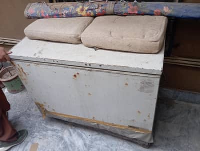 esta freezer with good freezing compressor