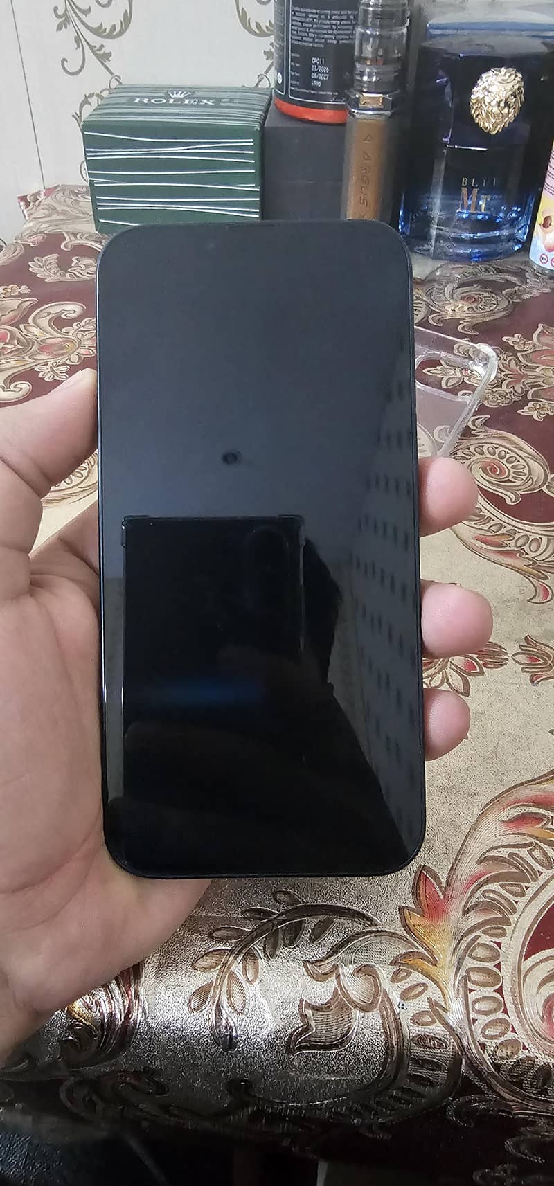 Apple iPhone 13 0