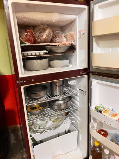 Orion fridge